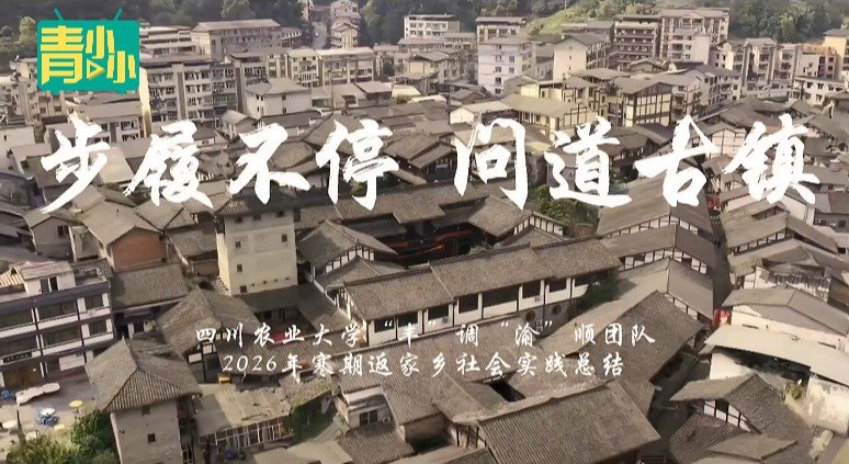 思政实践