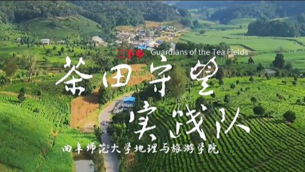 胜道体育app