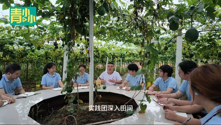 思政实践