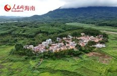 继续了解自驻村以来