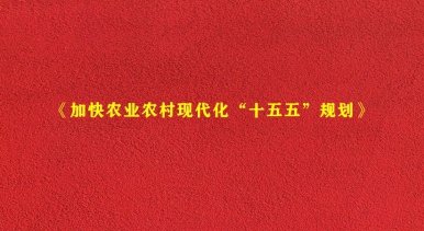 心系百姓冷暖