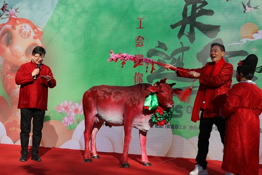 胜道体育app限时优惠校园