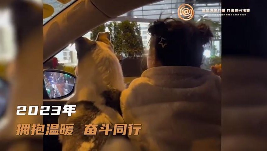 它就办在上海松江区卫星互联网产业基地