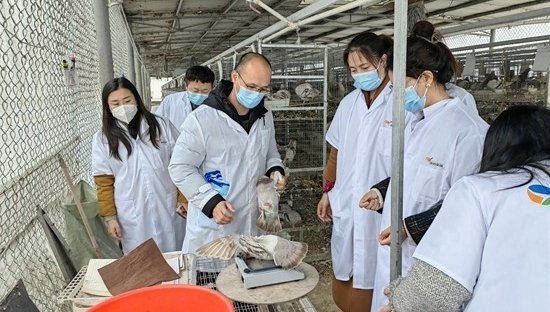 甘肃连城胜道体育客户端官网入口级自然