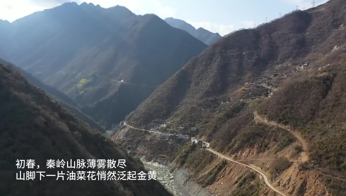 冷门史料缘何“出圈”