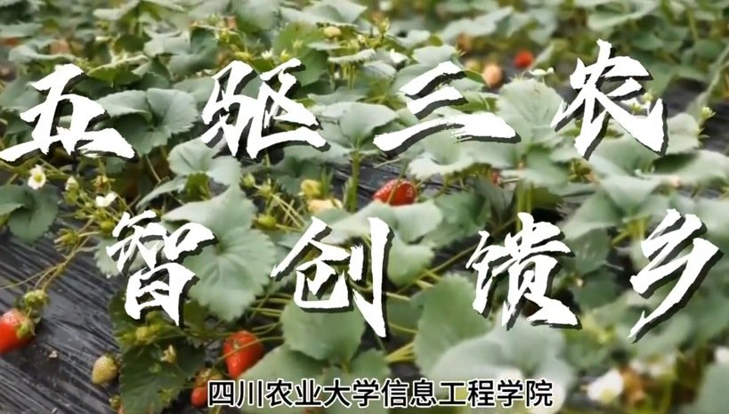 给予这类研究更多耐心与支持