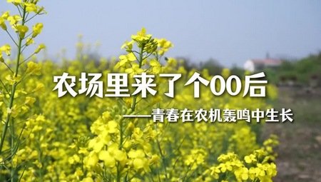 我当时看到手术台就想逃跑