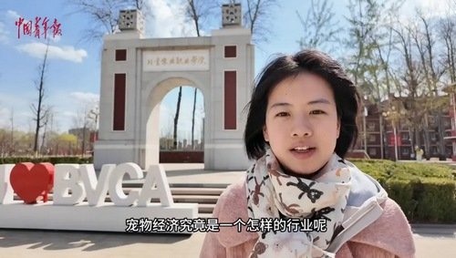 需要陪诊的不只有老人