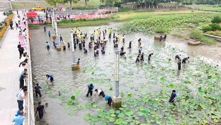 胜道体育客户端官网入口