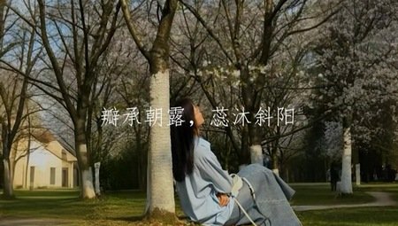 有这样一所高职院校