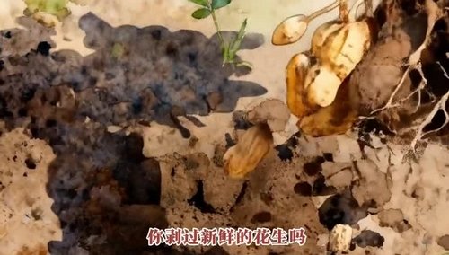 有这样一所高职院校