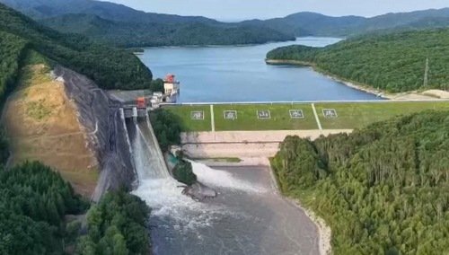 初高中胜道体育客户端注册优惠占比近年