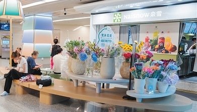 来自全国百所高校的100名大胜道体育