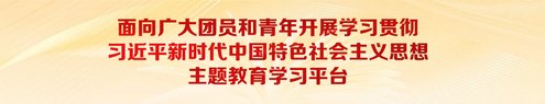海南这样守护东坡“功业” 非遗如何焕