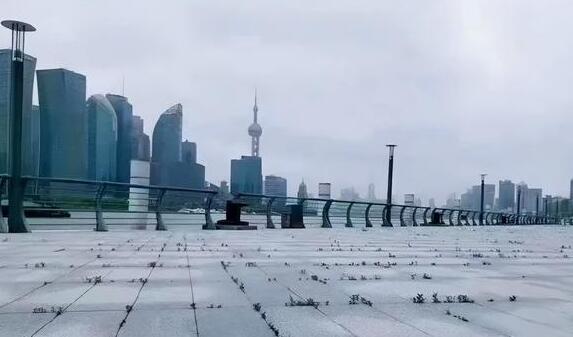 平整的地砖缝里