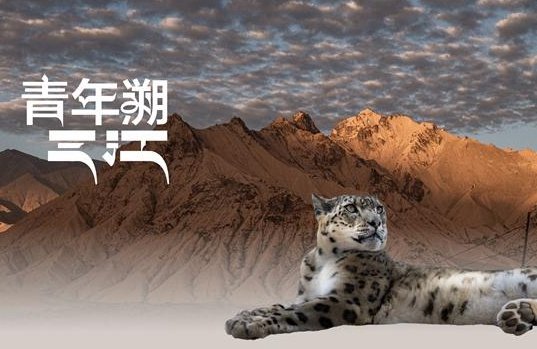 新闻